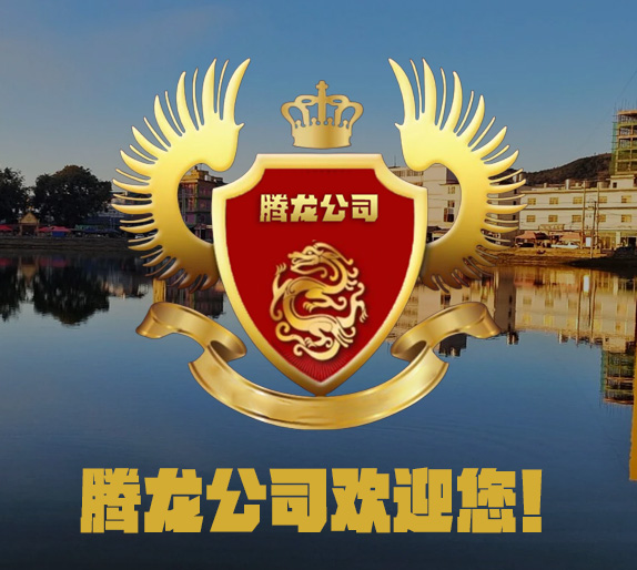 关于腾龙展示图